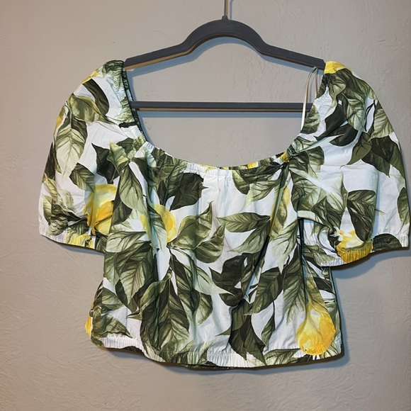 H&M Green and Yellow Leaf and Lemon Print Crop Top - Picture 4 of 4